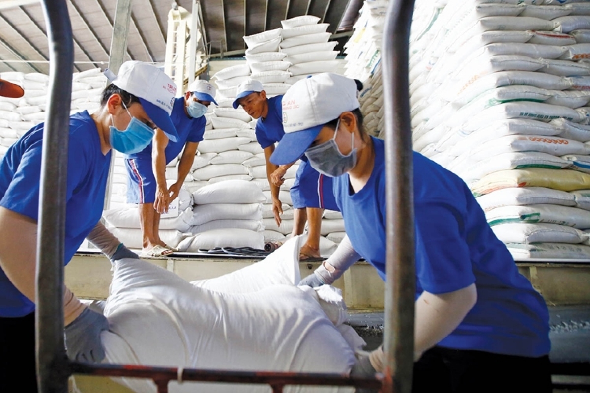 Rice exports set for major breakthroughs in 2023